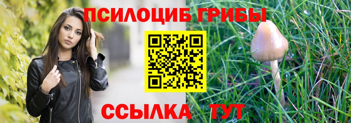 Галлюциногенные грибы Psilocybine cubensis  Вход с VPN  Шахты 