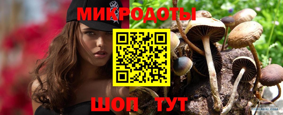 Псилоцибиновые грибы MAGIC MUSHROOMS Шахты